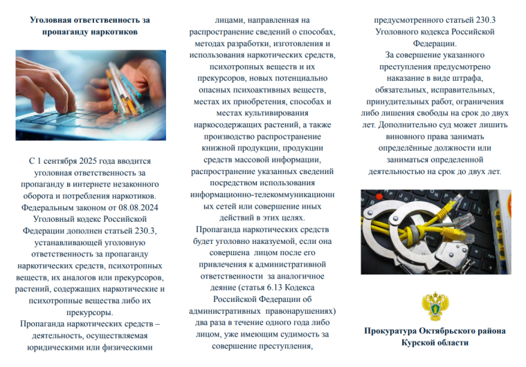 Уголовная ответственность за пропаганду наркотиков. Уголовная ответственность за пропаганду наркотиков.